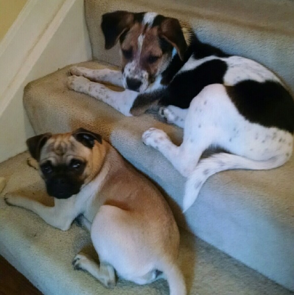 Meet your Posher, Linda - Picture 2 of 2