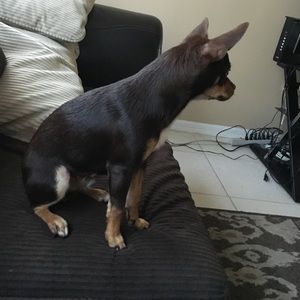 Meet your Posher, Maranda