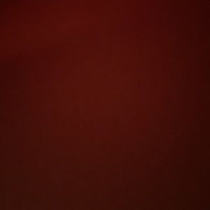 Meet your Posher, Joselyn