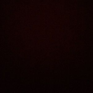 Meet your Posher, Noelle