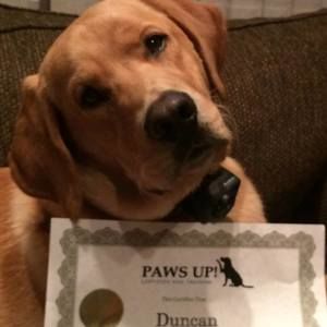 Meet your Posher, Karen