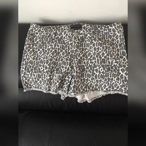 🌞Leopard shorts 🌞
