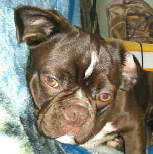 Meet your Posher, Vicki