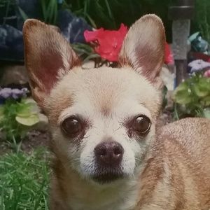 Meet your Posher, Lindsey