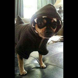 Meet your Posher, Julie