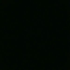 Meet your Posher, Abigail