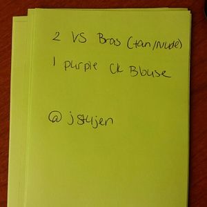 2 tan V.S. bras and purple CK blouse