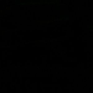 Meet your Posher, Marisa