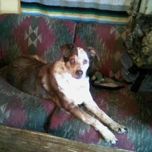 Meet your Posher, Penny