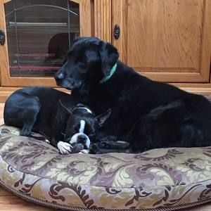 Meet your Posher, Debbie