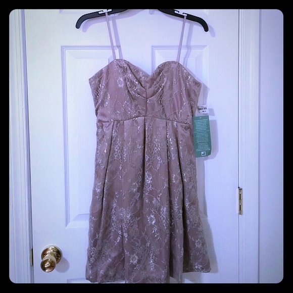 Purple & Silver Dress