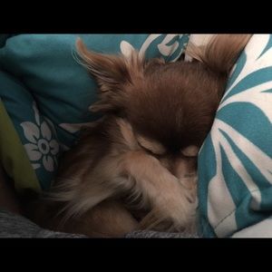 Meet your Posher, Avery