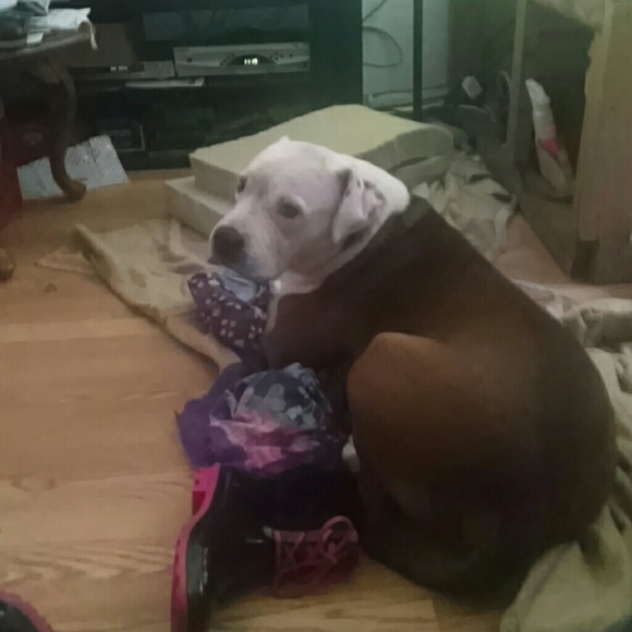 Meet your Posher, Tiffany - Picture 1 of 1