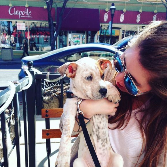 Meet your Posher, Alex - Picture 1 of 1