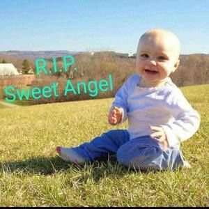 Meet your Posher, Kerri-anne