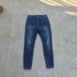 BDG high rise twig jean