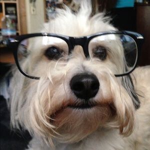 Meet your Posher, Lupe