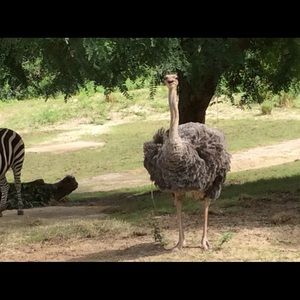 Meet your Posher, Jay