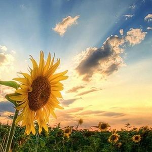 Meet your Posher, Kellie