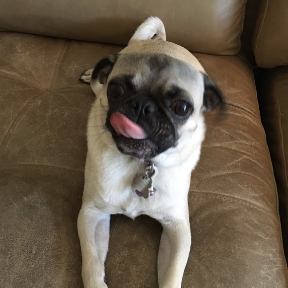 ❤️ - Picture 2 of 2