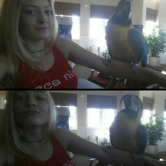 LIVE Every Sunday! 🎫 Tap the ♥️ for LIVE SHOW notifications 🔔 - Picture 9 of 15