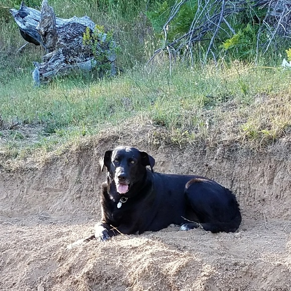 LIVE Every Sunday! 🎫 Tap the ♥️ for LIVE SHOW notifications 🔔 - Picture 6 of 15