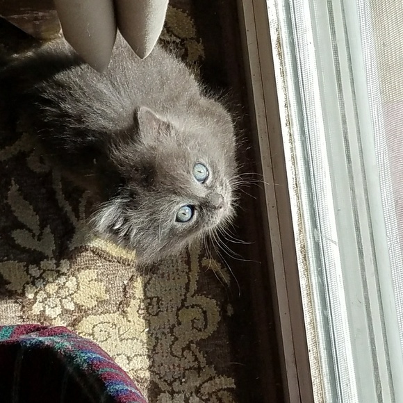 LIVE Every Sunday! 🎫 Tap the ♥️ for LIVE SHOW notifications 🔔 - Picture 7 of 15