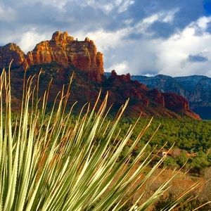 Meet your Posher, Tobi