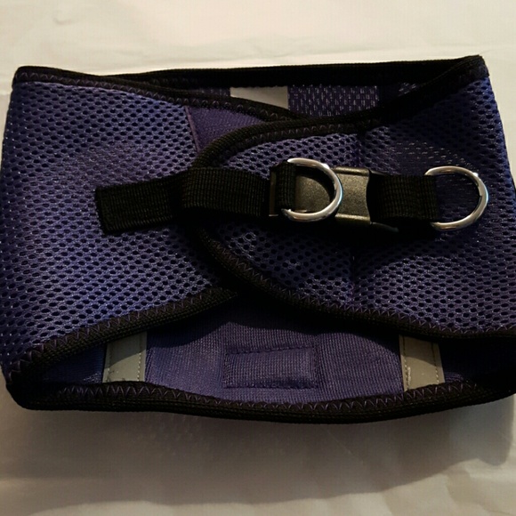 FINAL MARKDOWN - Baxter Boo Dog Harness