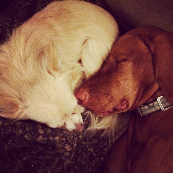 Meet your Posher, Jennifer - Picture 3 of 4