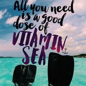 Meet your Posher, Lynn