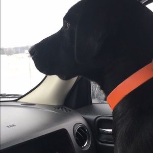 Meet your Posher, Emily