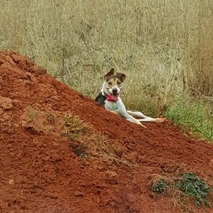 Meet your Posher, Leigh