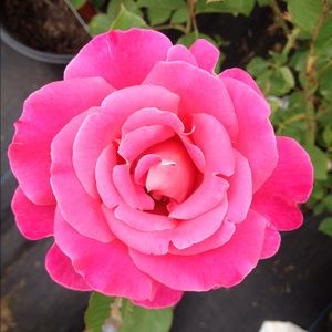 Meet your Posher, Christina