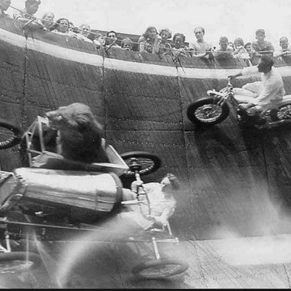 Meet your Posher, Lulu