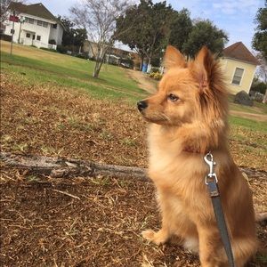 Meet your Posher, Ryu