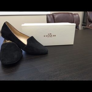 NIB - Coach Cambridge Suede flats