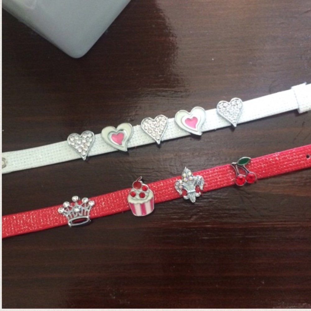 2 Buckle Charm Bracelets NIP