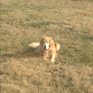 Meet your Posher, Miranda