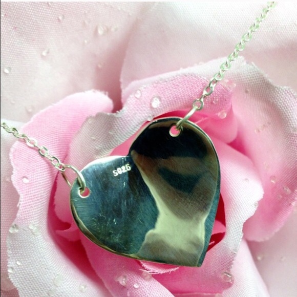 Hold you in my heart"Pendant Necklace - Picture 2 of 3