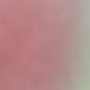 Meet your Posher, Machelle