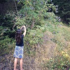 Meet your Posher, Jamie