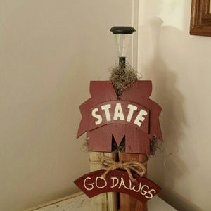 Solar light MS State