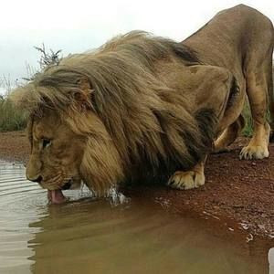 Meet your Posher, Byron