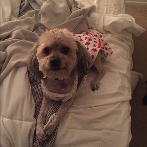 Meet your Posher, Sally