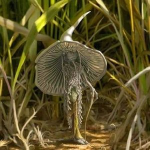 Meet your Posher, Sheila