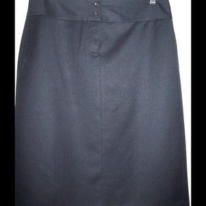 JCrew Blue Half Pleated Skirt REDUCED