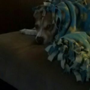 Meet your Posher, Joseph