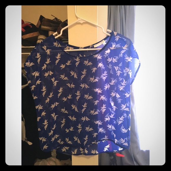 Sheer Bird Crop Top/Blouse - Picture 1 of 2