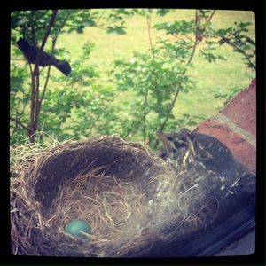 Meet your Posher, Ross